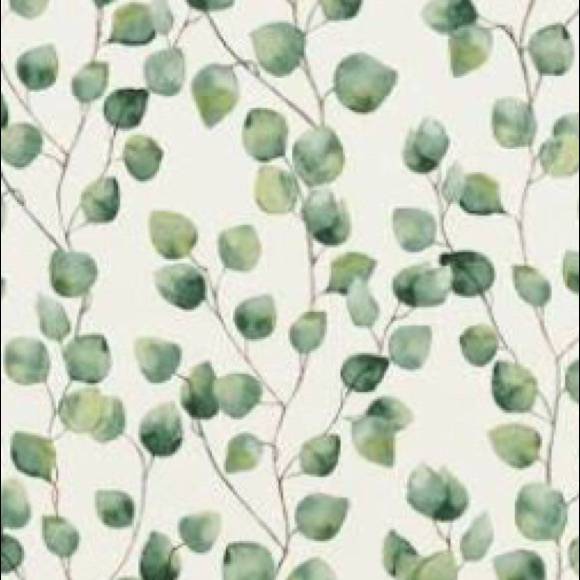 Meet your Posher, Jacee - Picture 1 of 1